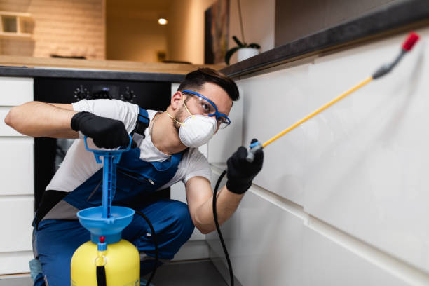 Best Pest Removal Services  in Hewlett, NY