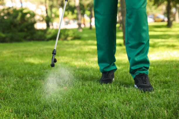 Best Pest Prevention Services  in Hewlett, NY