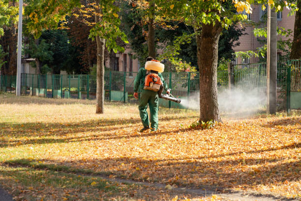 Hewlett, NY Pest Control Company