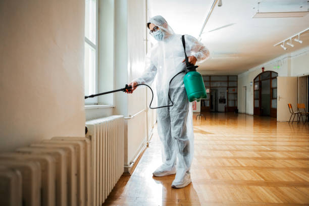 Best Pest Control Near Me in Hewlett, NY