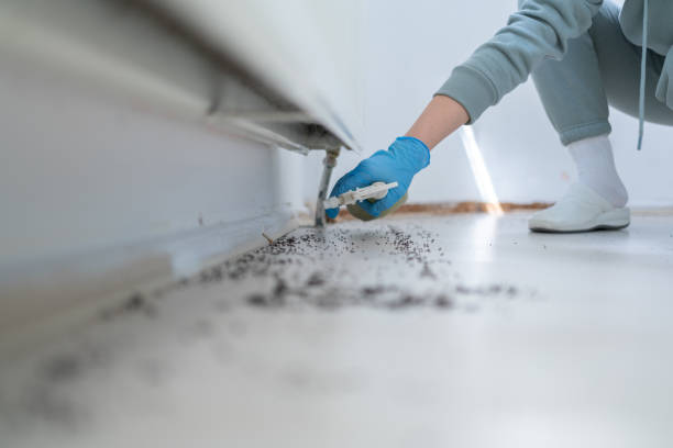 Pest Control for Restaurants in Hewlett, NY